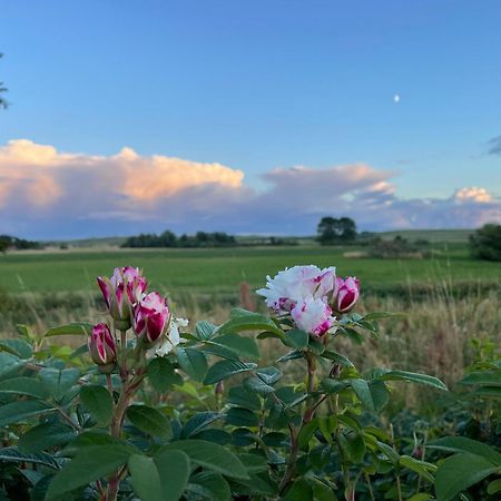 Drömhus på Österlen Glemminge Exteriör bild